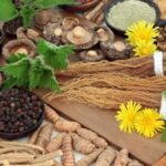 adaptogens immune health