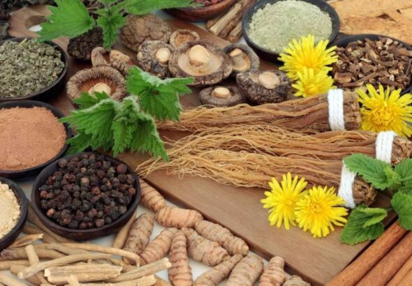 adaptogens immune health
