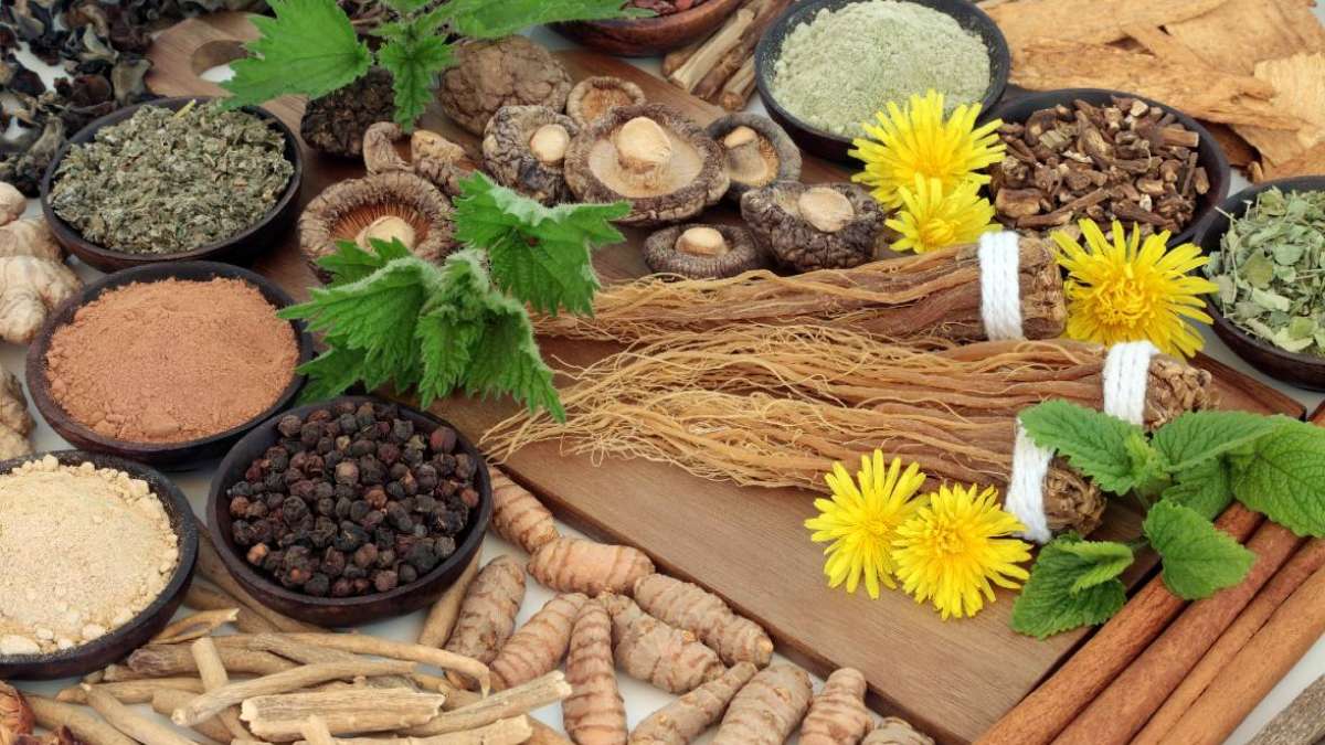 adaptogens immune health