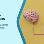 gut brain connection