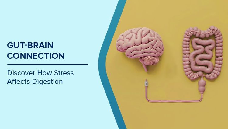 gut brain connection