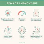 Your Digestive System: 5 Ways to Support Gut Health